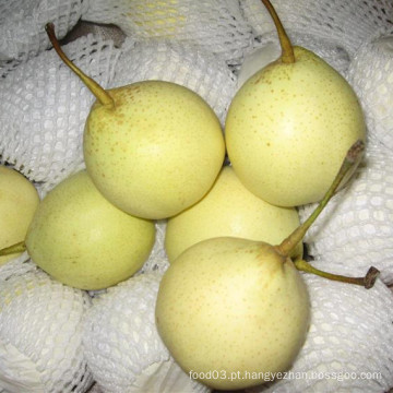 Fresco chinês Ya Pera Cor Amarelo